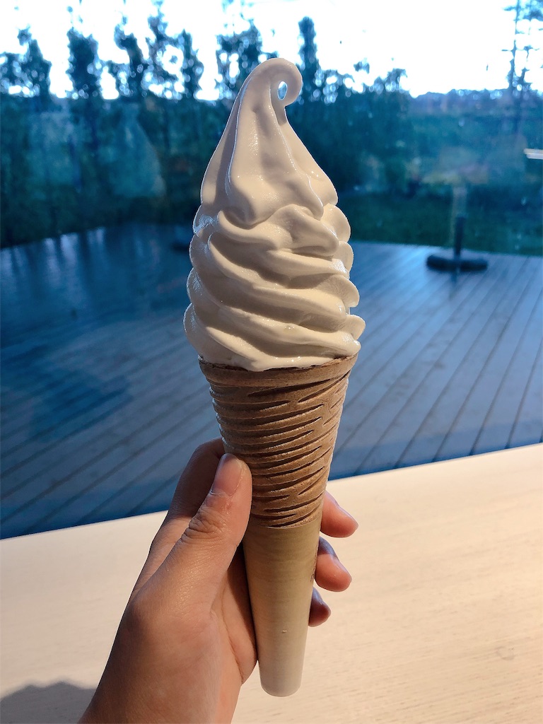 f:id:mizubelog:20190910002535j:image
