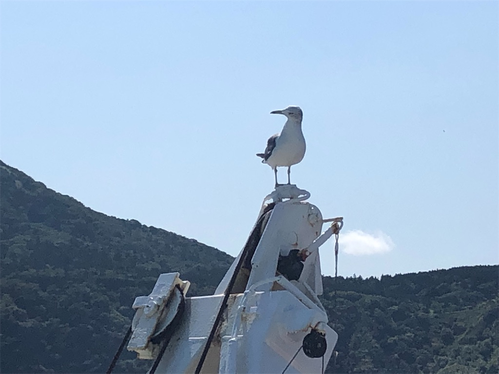 f:id:mizubelog:20190910120044j:image
