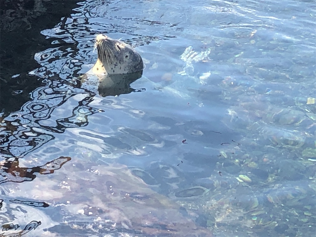 f:id:mizubelog:20190910121455j:image