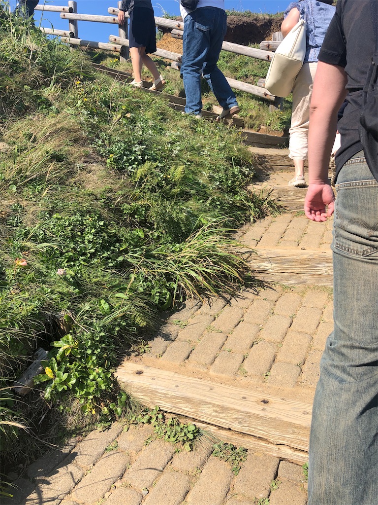 f:id:mizubelog:20190910131604j:image
