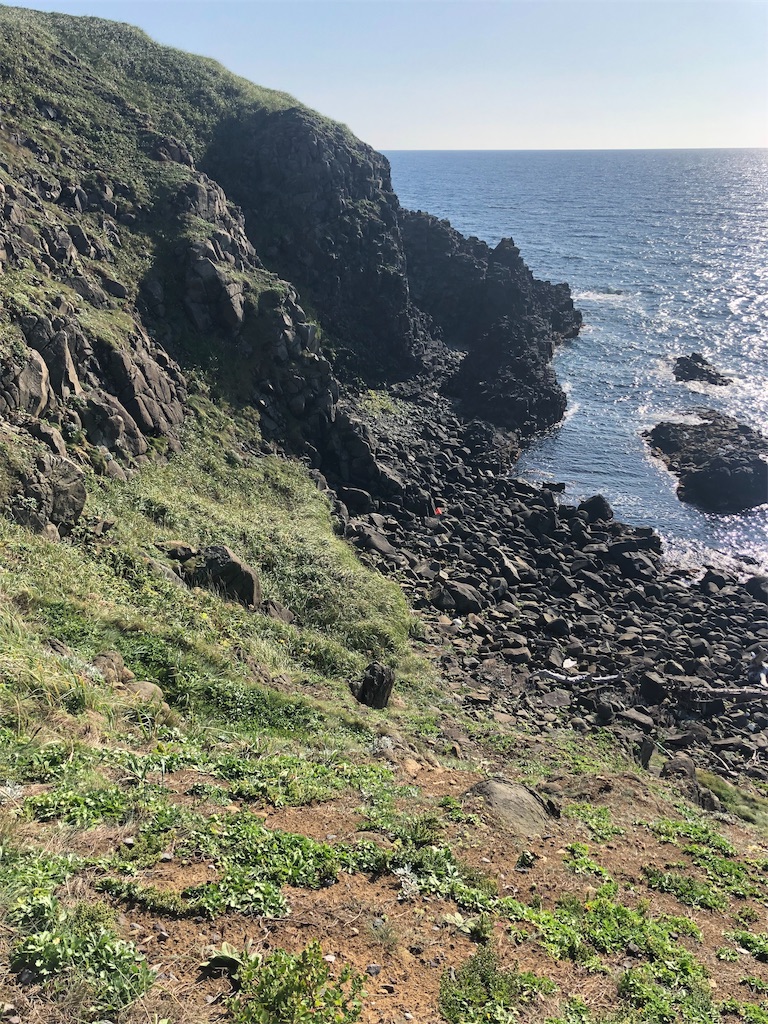 f:id:mizubelog:20190910131636j:image