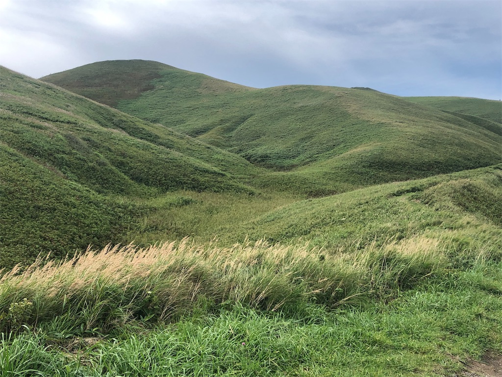 f:id:mizubelog:20190910152656j:image f:id:mizubelog:20190910152656j:image