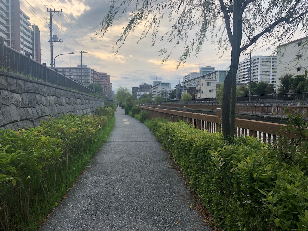 f:id:mizubelog:20191007180217j:image f:id:mizubelog:20191007180217j:image