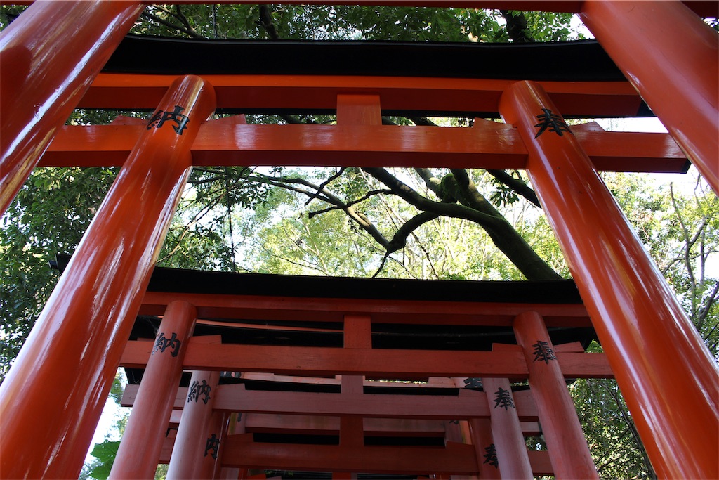 f:id:mizubelog:20191028211201j:image f:id:mizubelog:20191028211201j:image