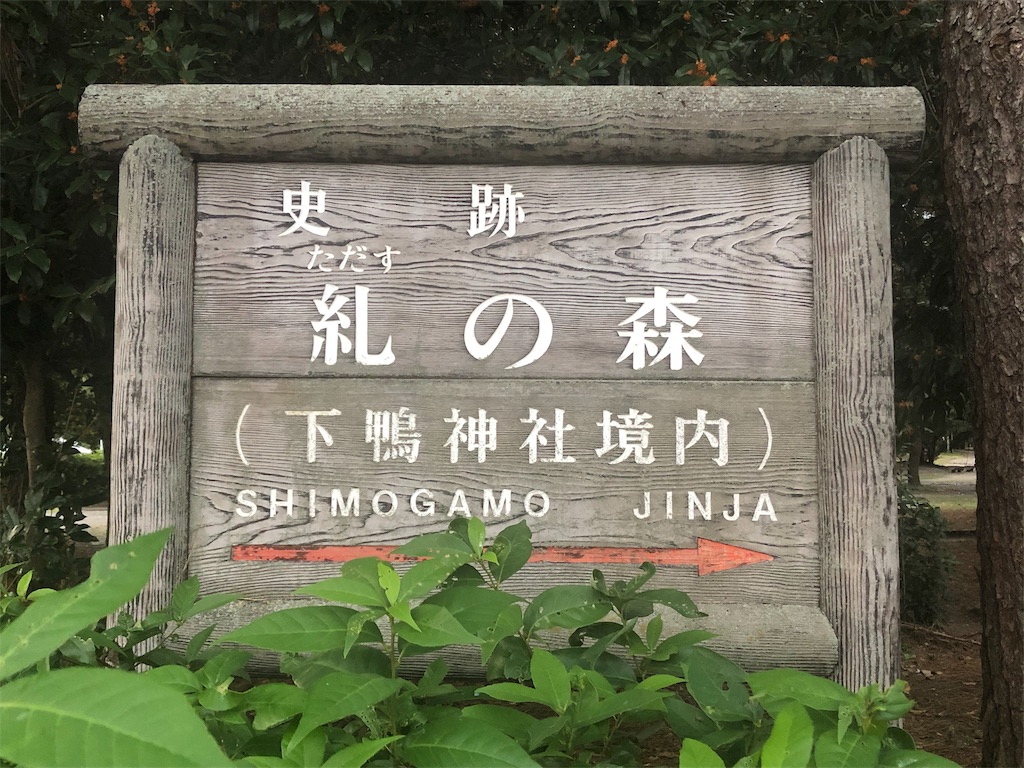 f:id:mizubelog:20191028212032j:image