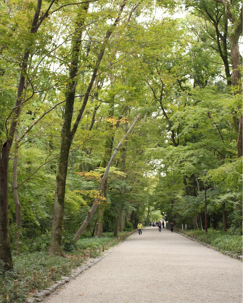 f:id:mizubelog:20191028212117j:image