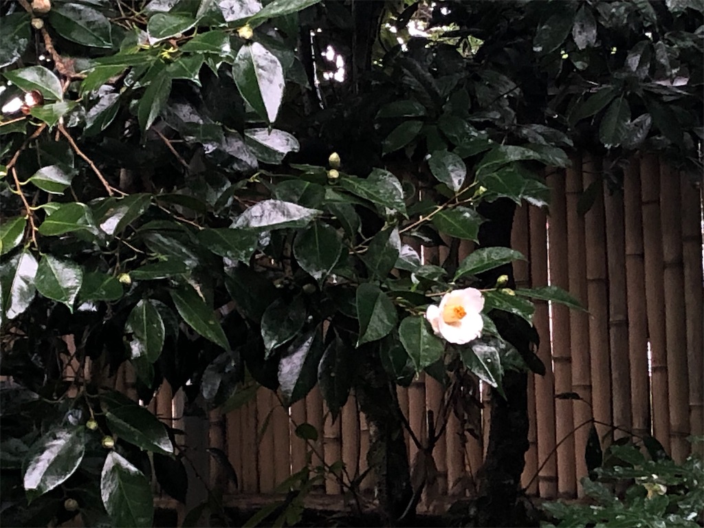 f:id:mizubelog:20191029092653j:image f:id:mizubelog:20191029092653j:image