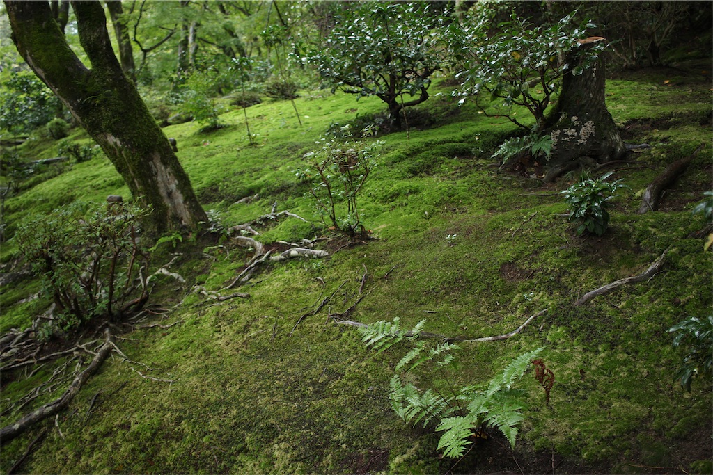 f:id:mizubelog:20191029092720j:image f:id:mizubelog:20191029092720j:image