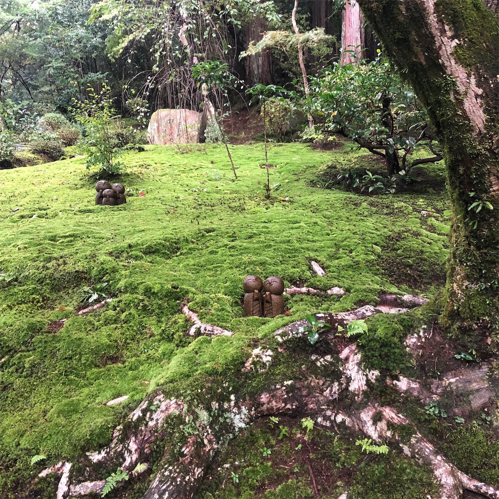 f:id:mizubelog:20191029092733j:image f:id:mizubelog:20191029092733j:image