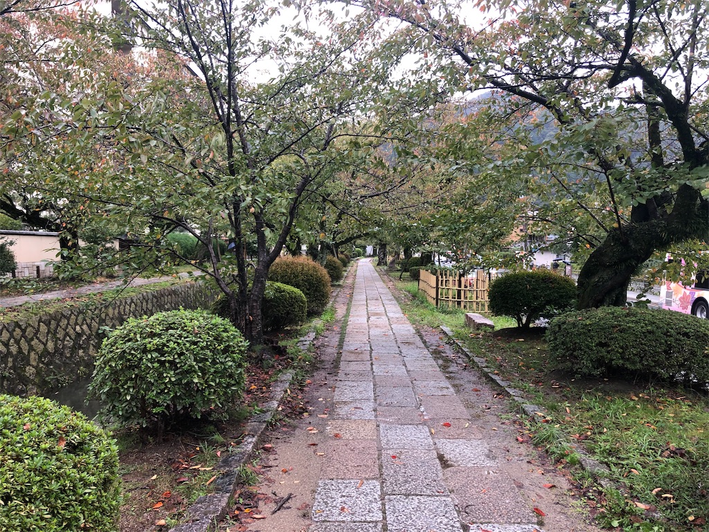 f:id:mizubelog:20191029094347j:image