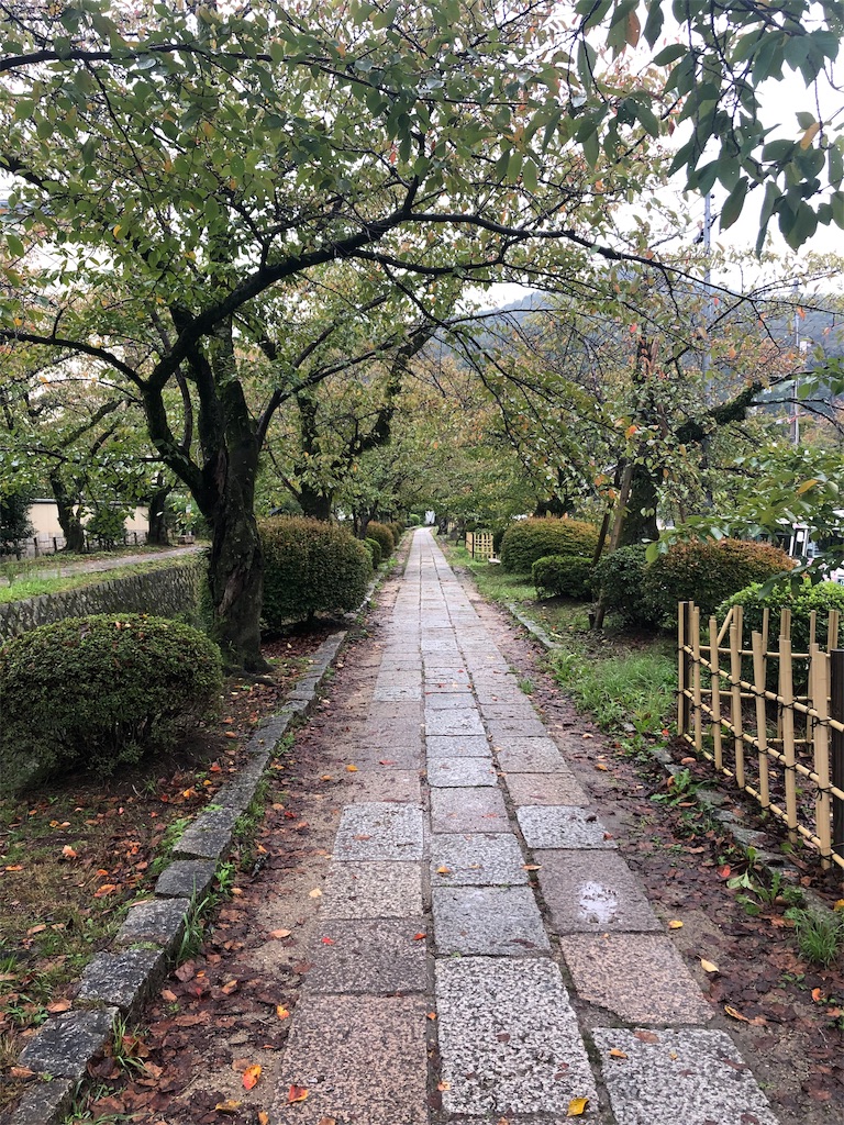 f:id:mizubelog:20191029094354j:image