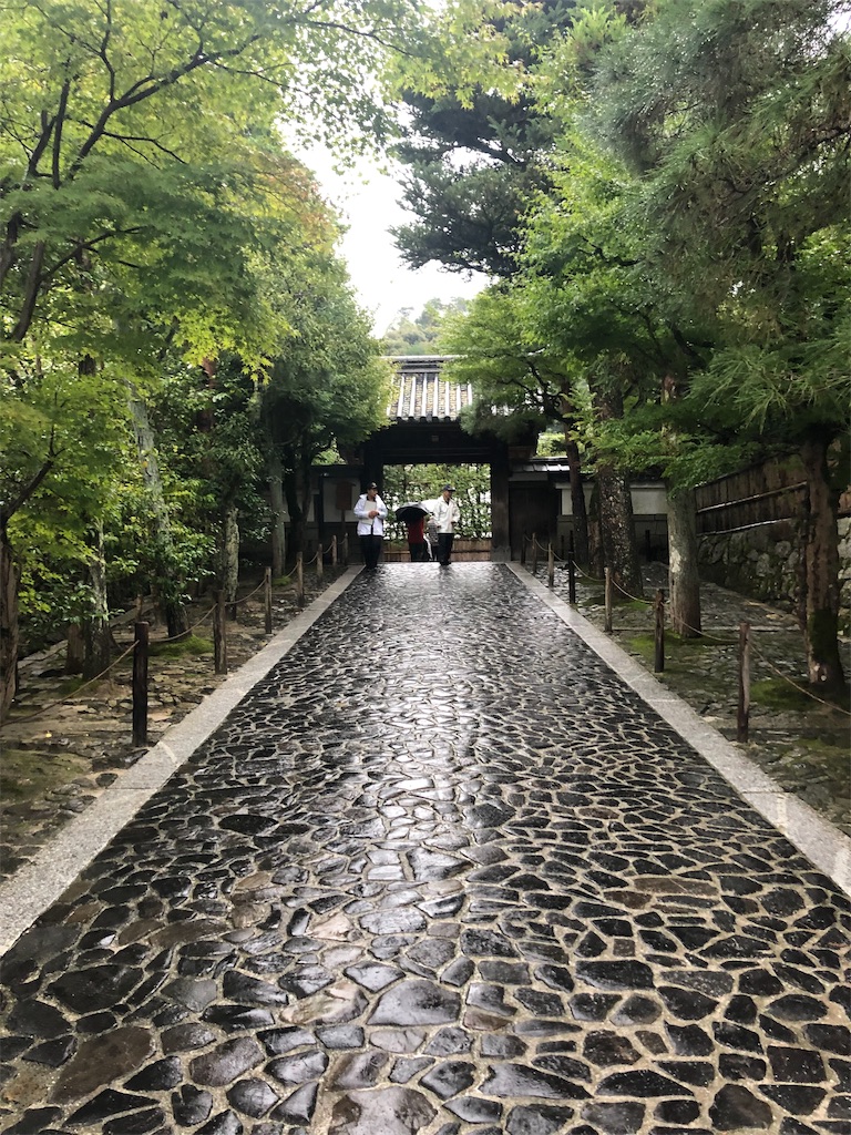 f:id:mizubelog:20191029094400j:image