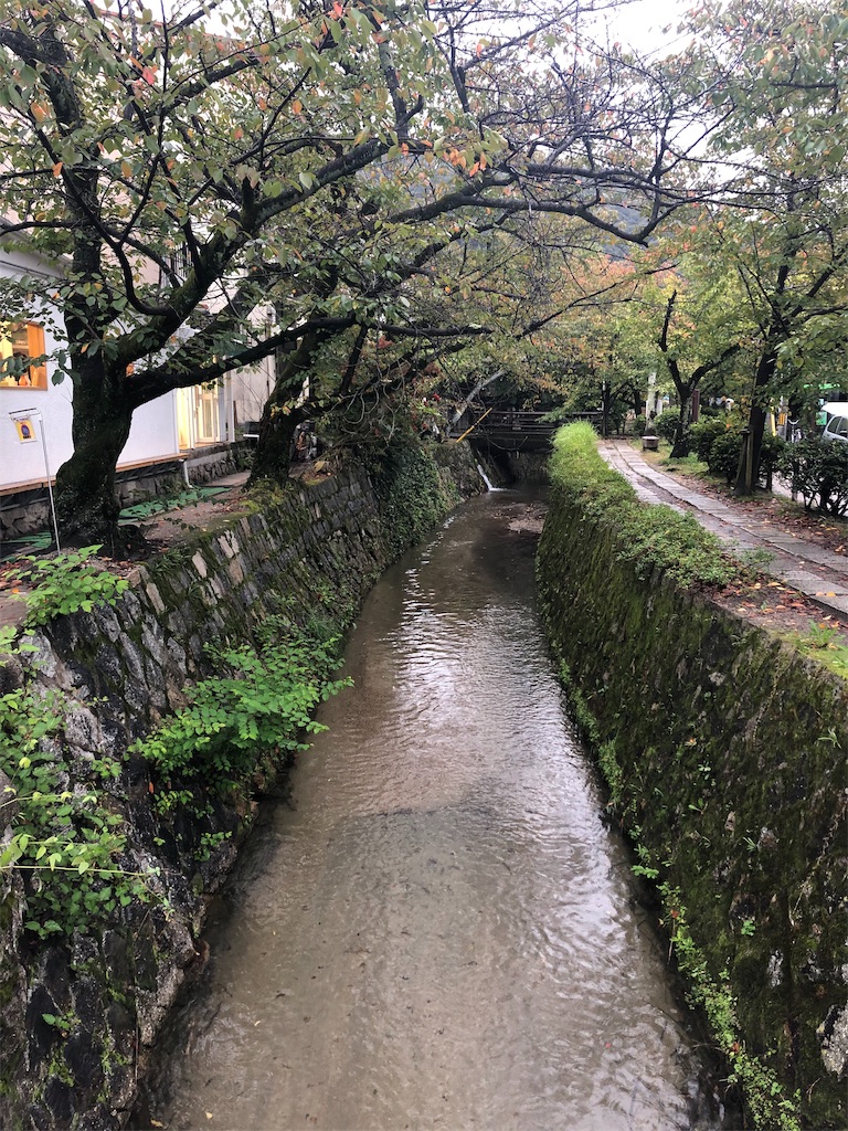 f:id:mizubelog:20191029094411j:image