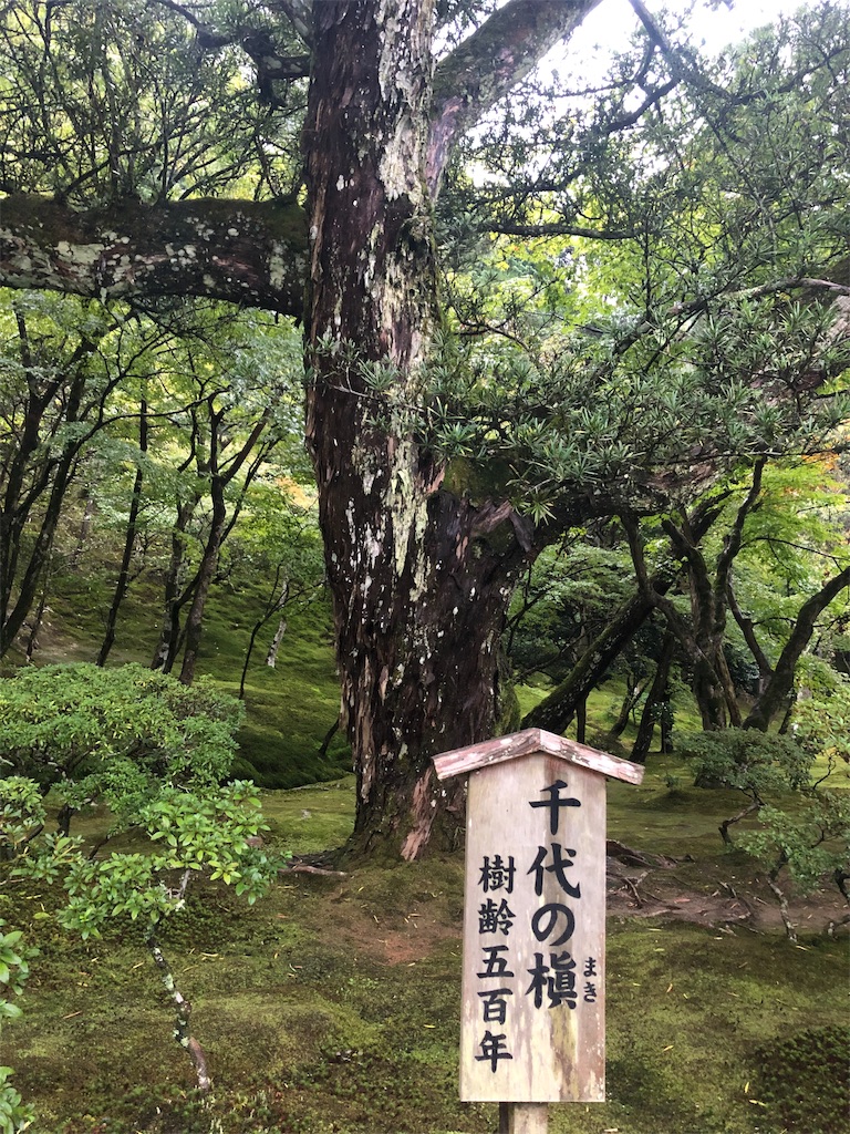 f:id:mizubelog:20191029094415j:image