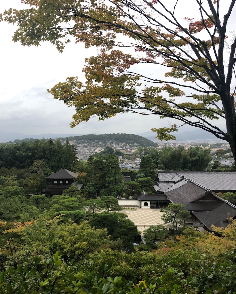 f:id:mizubelog:20191029094423j:image