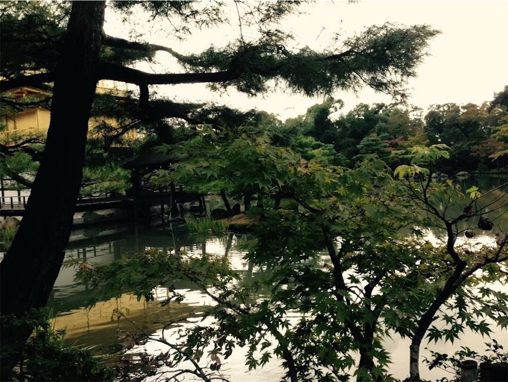 f:id:mizubelog:20191101083116j:image
