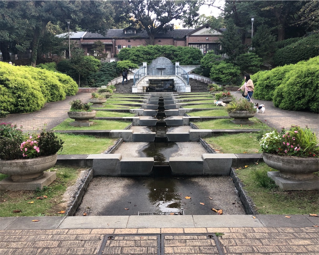 f:id:mizubelog:20191103183133j:image