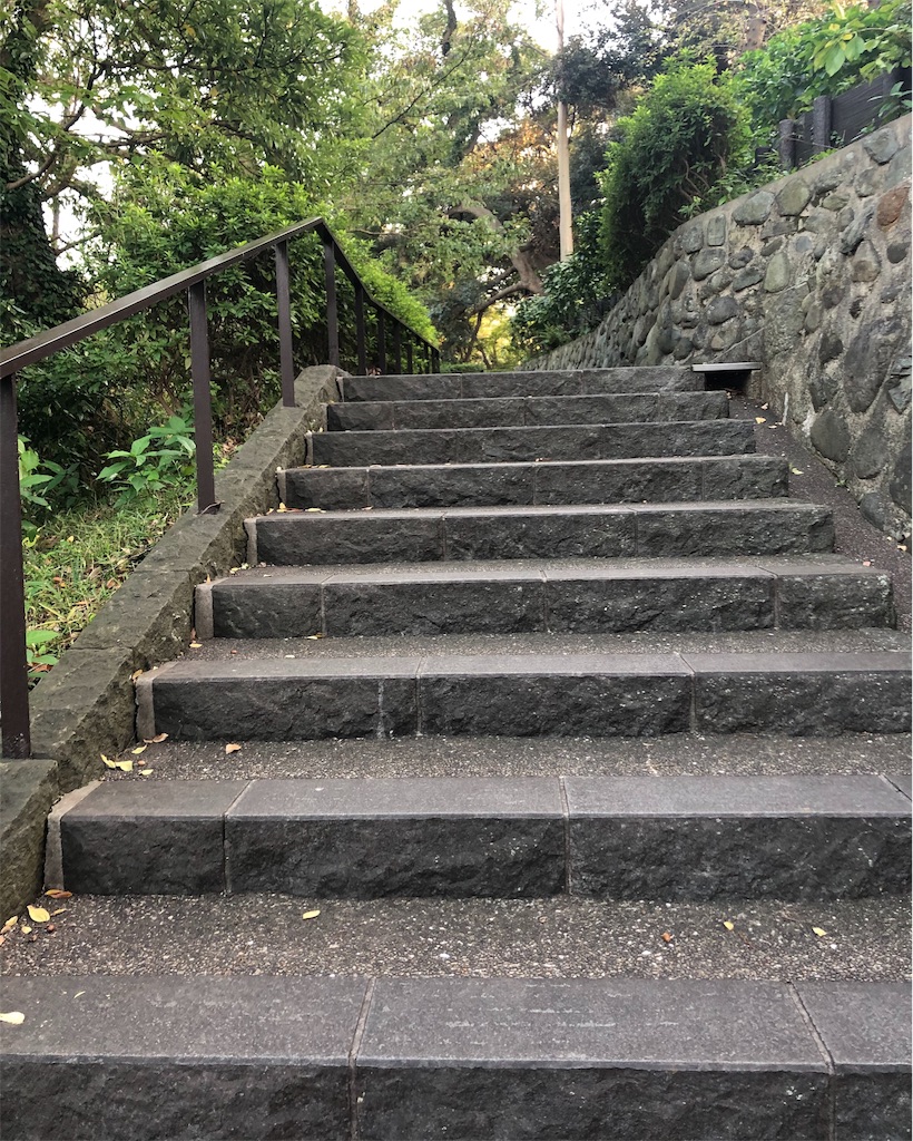 f:id:mizubelog:20191103183215j:image