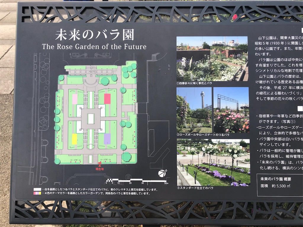 f:id:mizubelog:20191103183247j:image