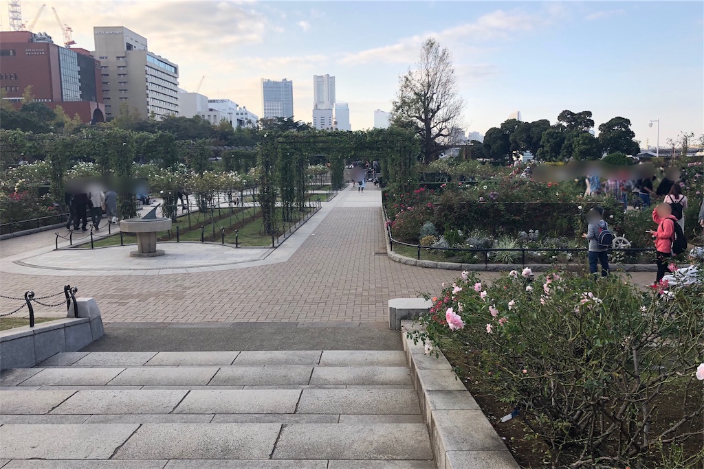 f:id:mizubelog:20191103183304j:image