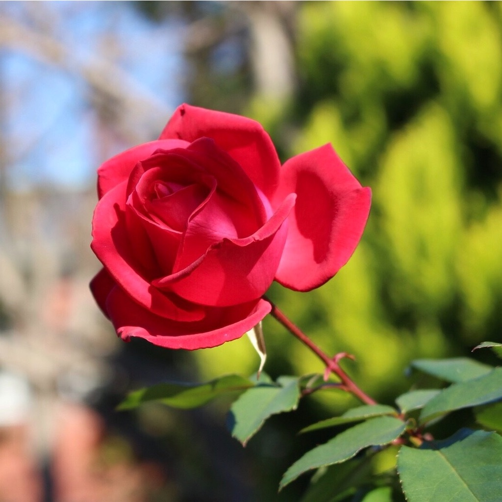 f:id:mizubelog:20191103203126j:image
