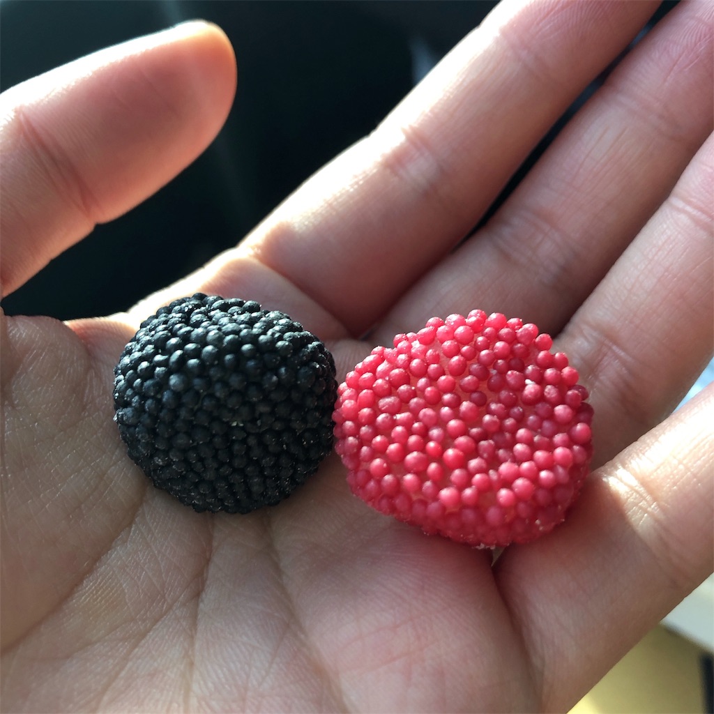 f:id:mizubelog:20200107202032j:image