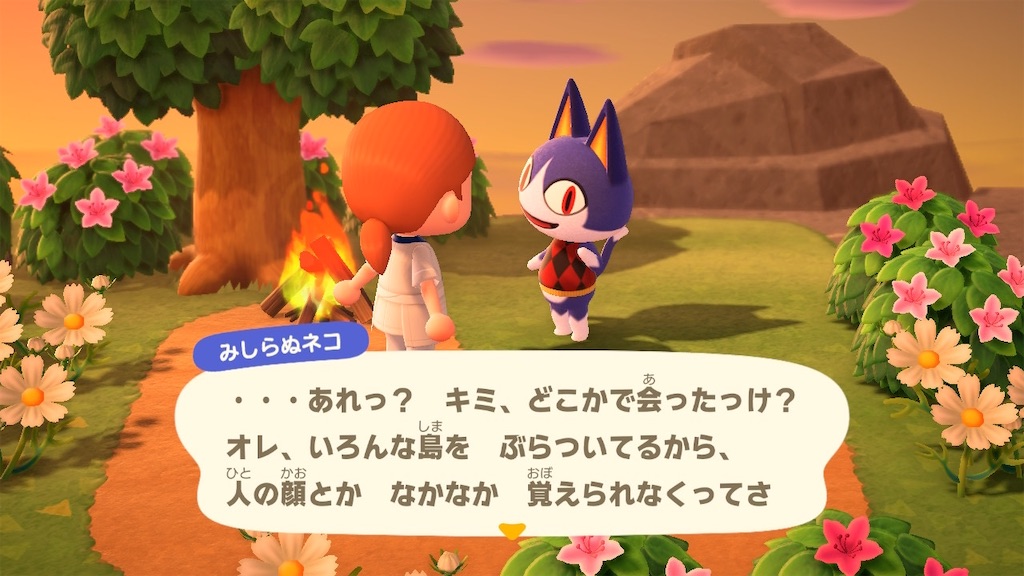 f:id:mizubelog:20200504175311j:image