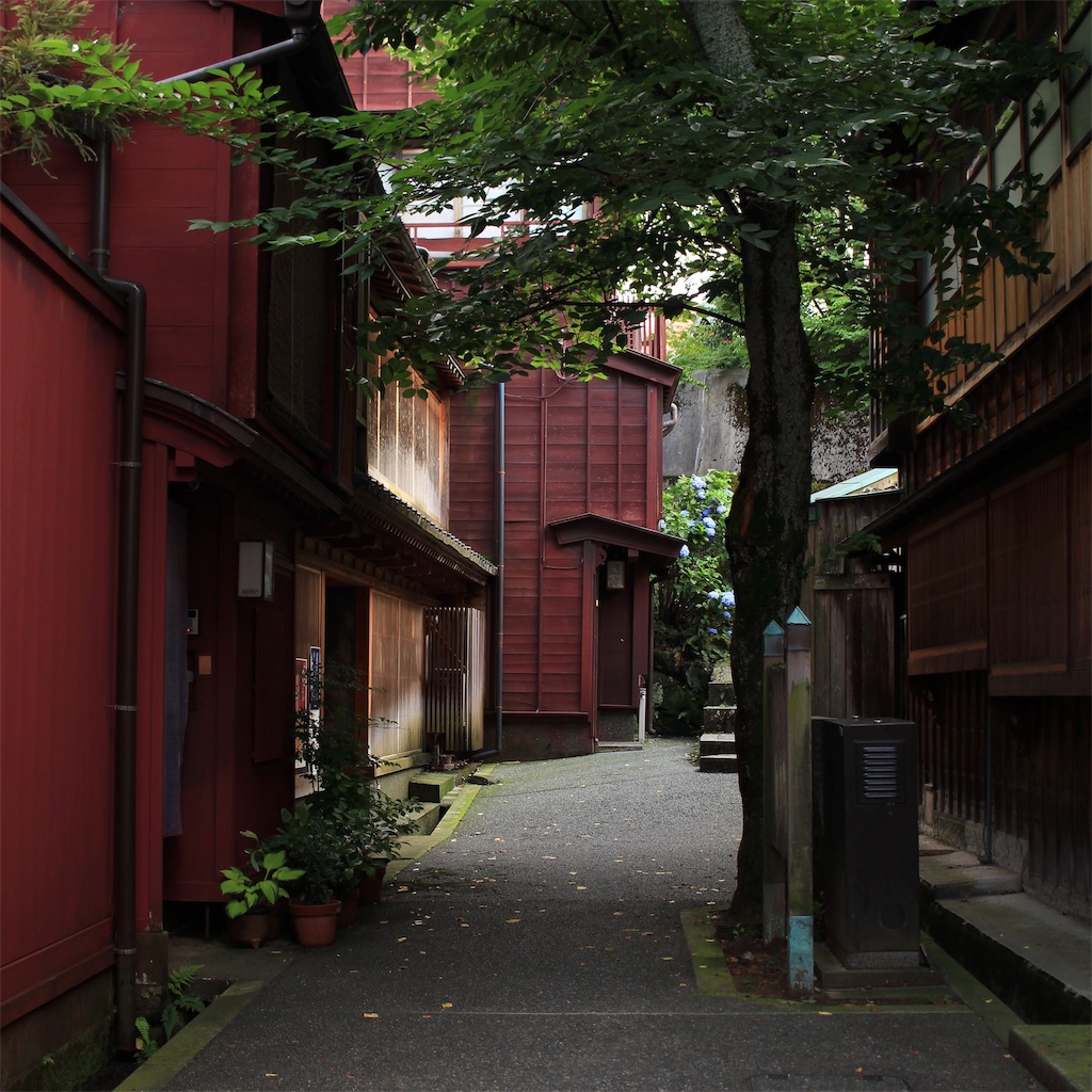 f:id:mizubelog:20200630232010j:plain