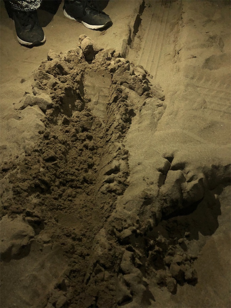 f:id:mizubelog:20200630232052j:plain