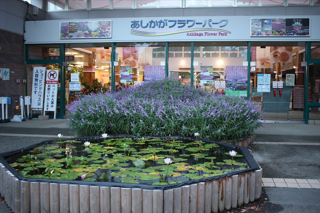 f:id:mizubelog:20201012154005j:image