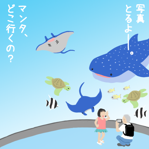 ジンベイザメやエイ。水族館のイラスト
