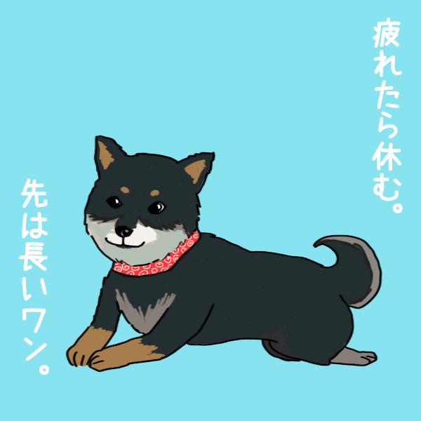 黒の豆柴のイラスト