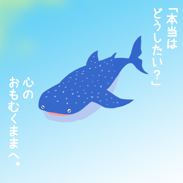 ジンベイザメのイラスト