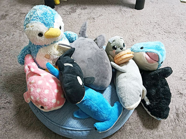 水族館で買ったぬいぐるみたち