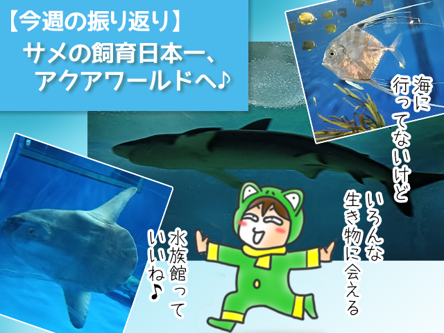 「大洗の水族館・アクアワールドへ行ったきたよ」ブログのサムネイル画像
