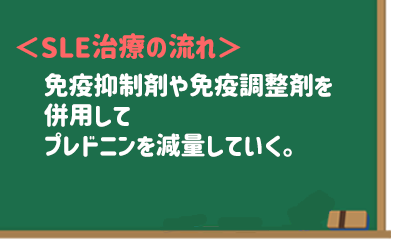 【SLE治療の流れ】免疫抑制剤や免疫調整剤などを併用してプレドニンを減量していく