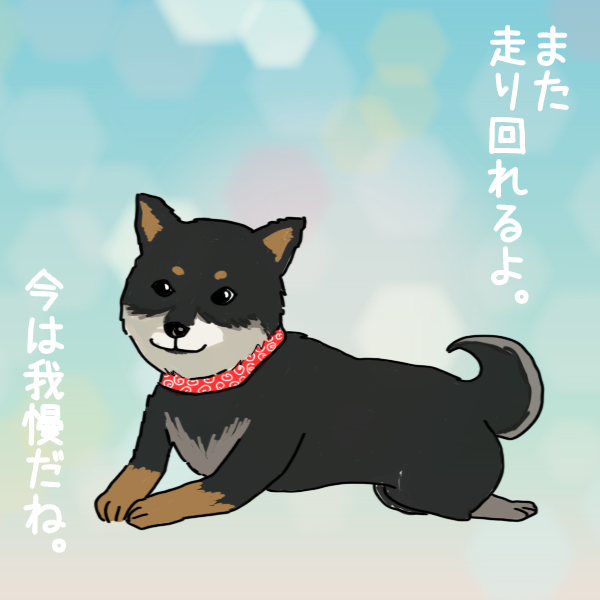 豆柴のイラスト
