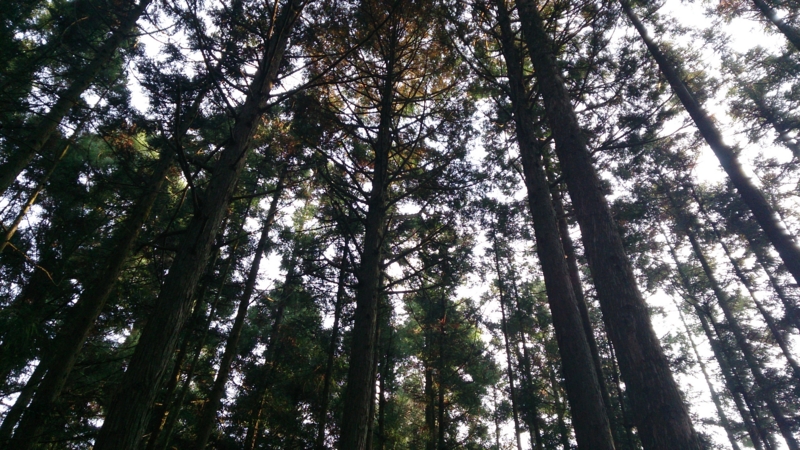 f:id:mizugameza11:20131102074823j:image f:id:mizugameza11:20131102074823j:image
