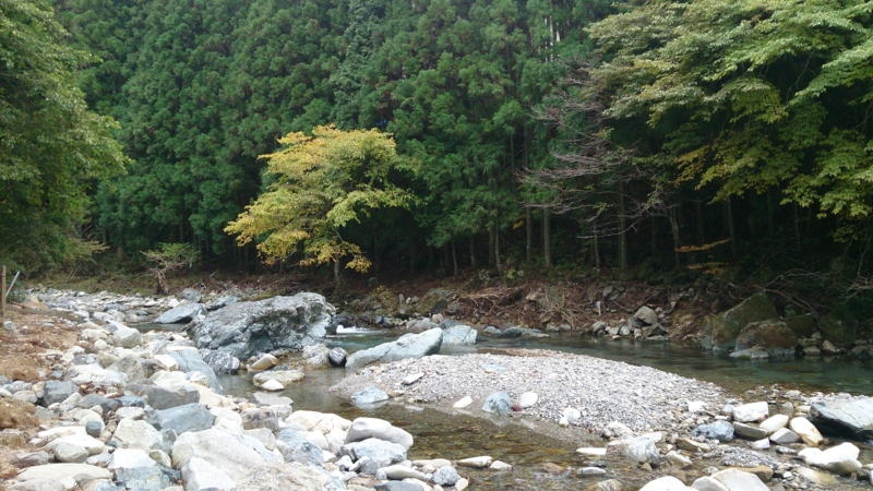 f:id:mizugameza11:20131103151113j:image f:id:mizugameza11:20131103151113j:image