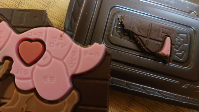 解体図鑑チョコをやってると思ったら発掘恐竜チョコだった ミズゴローの戯れ日記