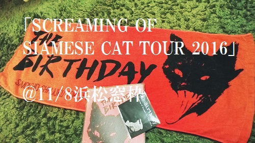 The Birthday「シャム猫の絶叫ツアー」