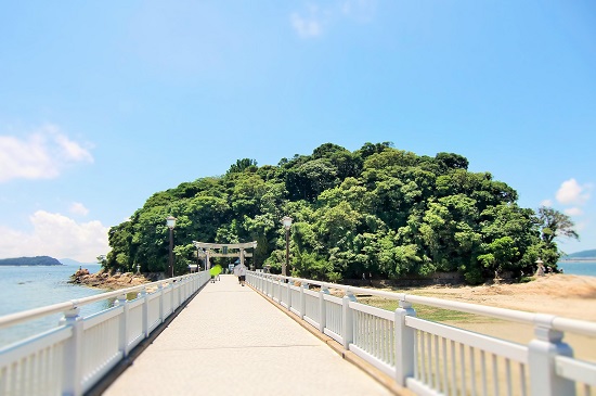 ほったらかしの確定拠出年金を見直し 橋