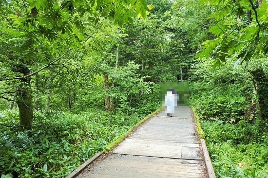 上高地　梓川右岸道