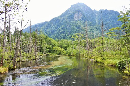 上高地　岳沢湿原