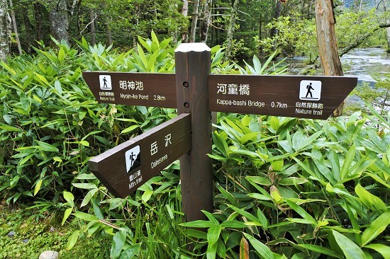 上高地　案内板