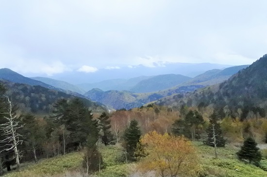 駐車場からの景色