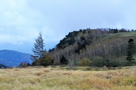 秋の美ケ原高原