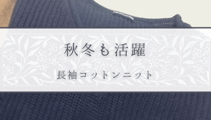 【秋冬も活躍】コットンニットを夏SALEで購入