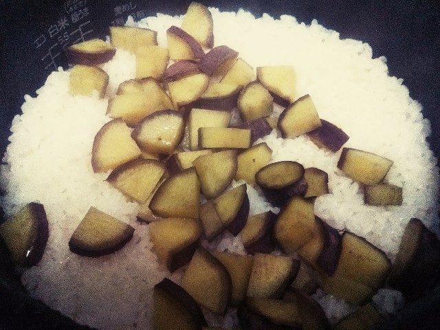 f:id:mizuho000:20190209002841j:plain f:id:mizuho000:20190209002841j:plain