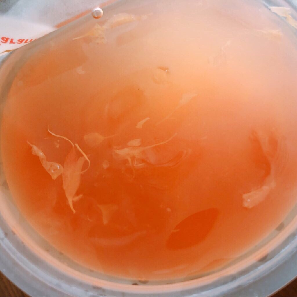 f:id:mizuho000:20190928084805j:image